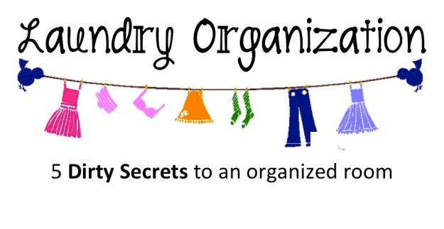 5 Dirty Secrets :: Laundry Room Organization